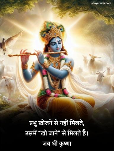 Krishna Shayari in Hindi