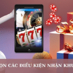 8day Promotion
